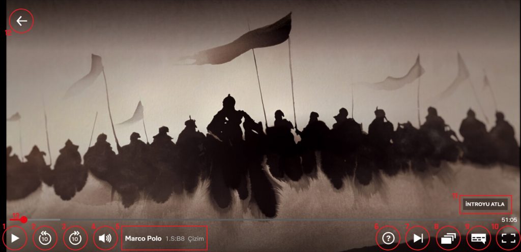 Netflix rehberi