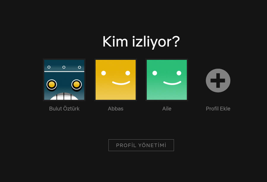 Netflix rehberi