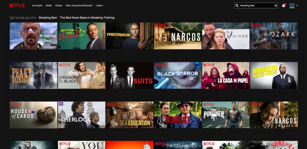 Netflix rehberi