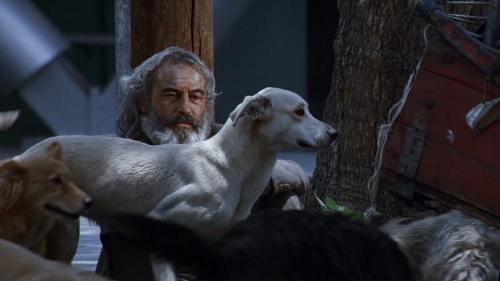 Paramparça Aşklar Köpekler